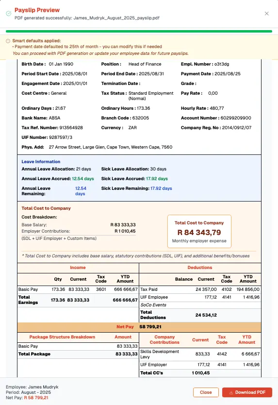 Professional Payslip Sample